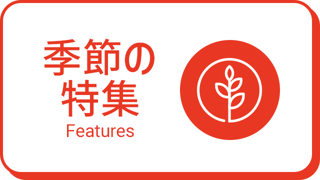 季節の特集